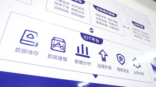 自贸新秀恒远科技 蜂巢工厂引领国内智造新纪元